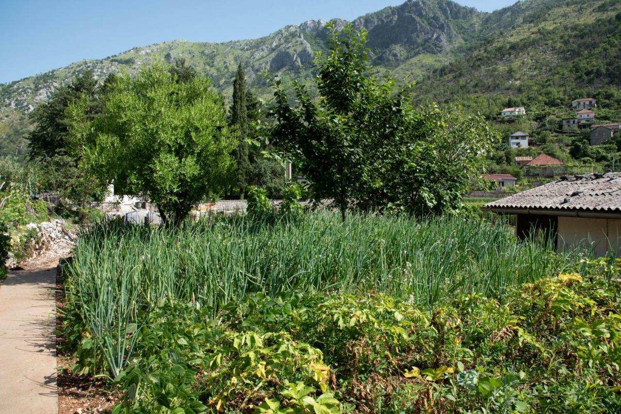 Apartments Nino Skadar Lake Вирпазар Екстериор снимка